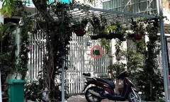 Sẽ kiểm tra năng lực tài chính công ty trúng đấu giá mỏ cát hơn 2.800 tỷ đồng