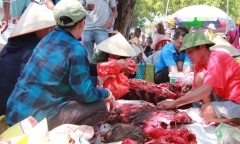 Trong sân trâu đang chọi, ngoài sân ‘ông trâu’ thua trận đã bị xẻ thịt
