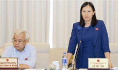 Chủ nhiệm Ủy ban Tư pháp: Có trường hợp lợi dụng quy định để bổ nhiệm người nhà