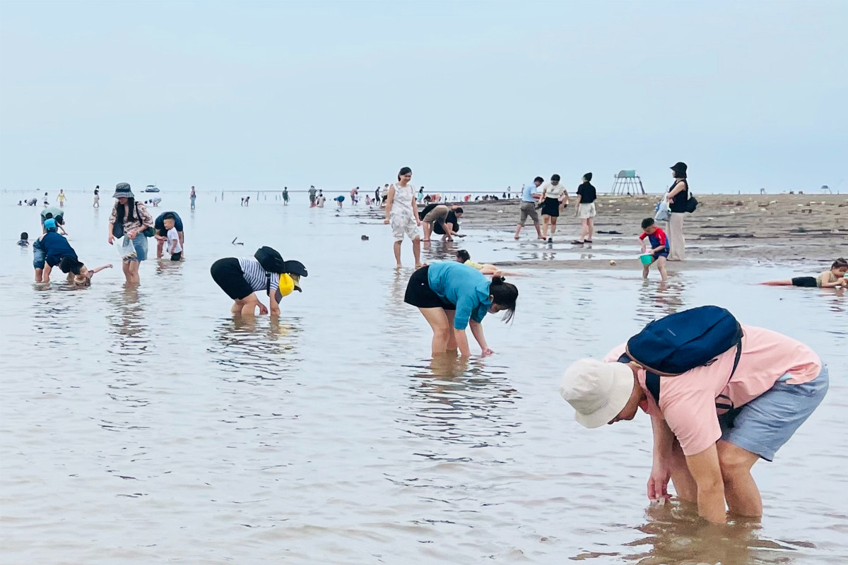 Vụ học sinh tử vong khi bắt ngao: Các tàu kinh doanh tự phát, mạnh ai nấy làm
