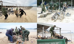 Bãi biển Cô Tô thơ mộng bị rác bủa vây tứ bề, xã đảo huy động tổng lực thu gom