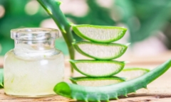 Công dụng tuyệt vời của nha đam trong làm đẹp