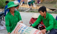 Sắp có kết luận thanh tra xuất khẩu gạo