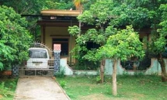 Vụ gỗ huê trăm tỷ: 5 người bị khởi tố