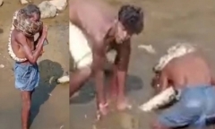 Dùng trăn hoang dã làm khăn quàng cổ, người đàn ông suýt chết