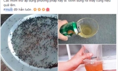 Thực hư việc dùng 1 lon bia uống dở có thể diệt sạch muỗi trong nhà?