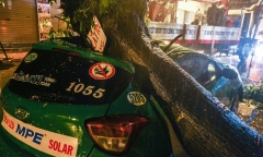 Hà Nội: Cây đổ đè bẹp xe taxi trong mưa lớn