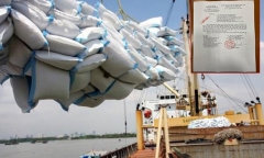 Sắp có kết luận thanh tra xuất khẩu gạo