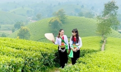 Vẻ đẹp Long Cốc mùa đẹp nhất trong năm
