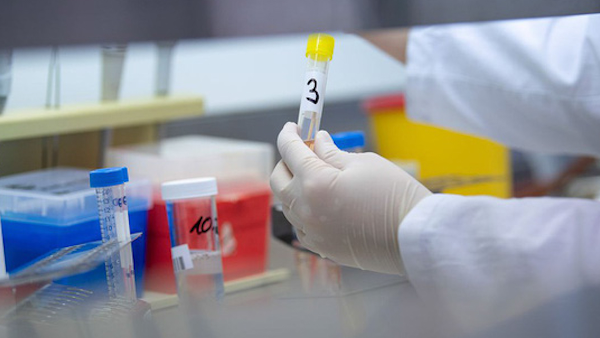 Nâng giá máy xét nghiệm COVID-19: Cựu Giám đốc CDC Hà Nội khai gì?