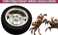 Đây là loại đặc sản nào của tỉnh Thái Bình?