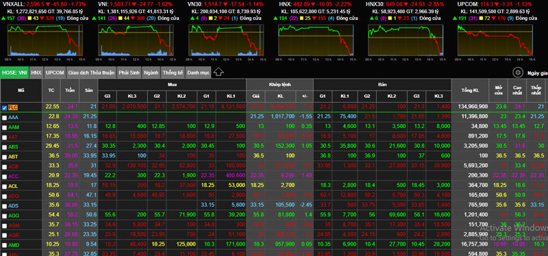 UBCKNN xử lý vụ bán gần 75 triệu cổ phiếu FLC