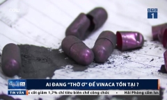 Thuốc trị ung thư làm từ than tre: Ai đang ‘làm ngơ’ để Vinaca tồn tại?