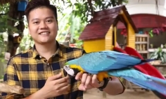 Video: Chàng trai sở hữu hơn 20 loài vẹt trị giá nửa tỷ đồng