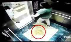 Clip: Hai phụ nữ che camera để đi tiểu trong thang máy ở Hà Nội