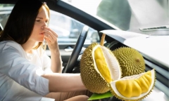 Mẹo khử mùi sầu riêng trong khoang nội thất ô tô