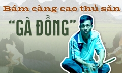 Bám càng cao thủ săn ‘gà đồng’