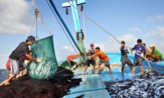 Mạnh giàu từ biển quê hương: Cùng ngư dân vươn khơi bám biển