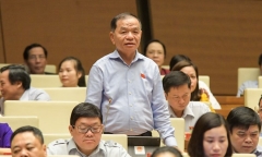 ĐBQH: Cán bộ nói 'bánh mì không phải thực phẩm' nhận thức ấu trĩ về chống dịch