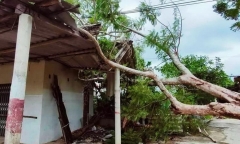Phó Thủ tướng: Hỗ trợ lương thực, không để dân thiếu đói sau bão số 5