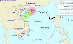 Tin mới nhất: Bão số 11 suy yếu thành áp thấp nhiệt đới vào chiều mai 17/10