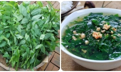 Rau ngót cực bổ dưỡng nhưng 'đại kỵ' với 3 nhóm người này