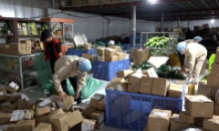 Thương mại điện tử - giải pháp đầu ra cho nông sản Việt