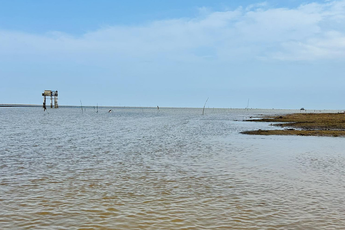 Vụ học sinh tử vong khi bắt ngao: Các tàu kinh doanh tự phát, mạnh ai nấy làm