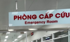Bệnh viện Nhi đồng 2 cứu sống 2 trẻ nguy kịch do bệnh não cấp hiếm gặp