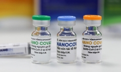 Vaccine COVID-19 Nano Covax của Việt Nam giờ ra sao?