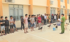 Triệt phá trường gà quy mô lớn ở Đắk Lắk, bắt giữ 34 'con bạc'