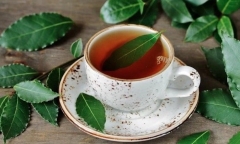 Uống trà nguyệt quế vào buổi sáng mang lợi ích gì cho sức khỏe?