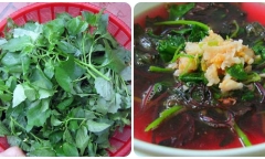 Đi chợ gặp 4 loại rau bổ hơn thịt, rẻ hơn thuốc, vừa ngon vừa bổ, nhớ mua ngay