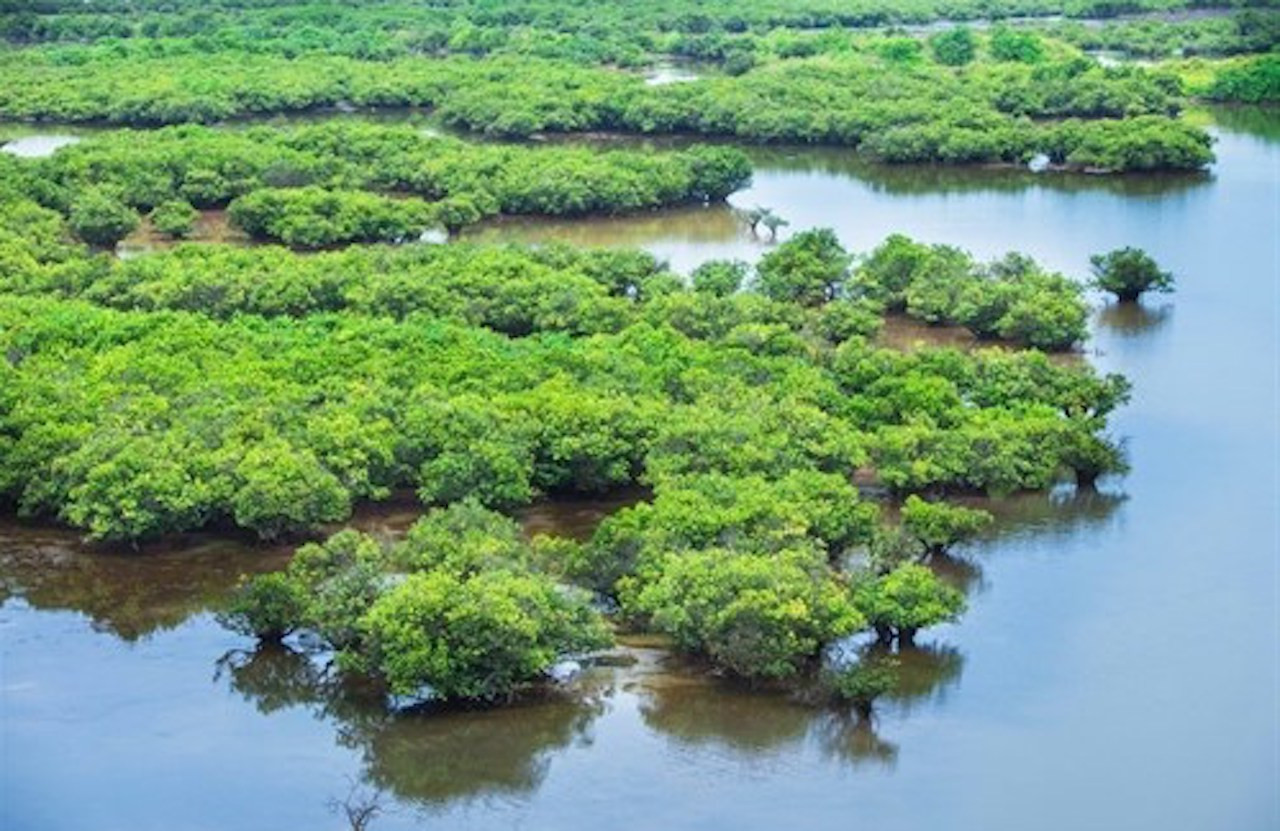 Vụ học sinh tử vong khi bắt ngao: Các tàu kinh doanh tự phát, mạnh ai nấy làm