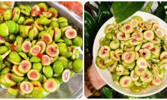 Tác dụng chữa bệnh từ quả sung