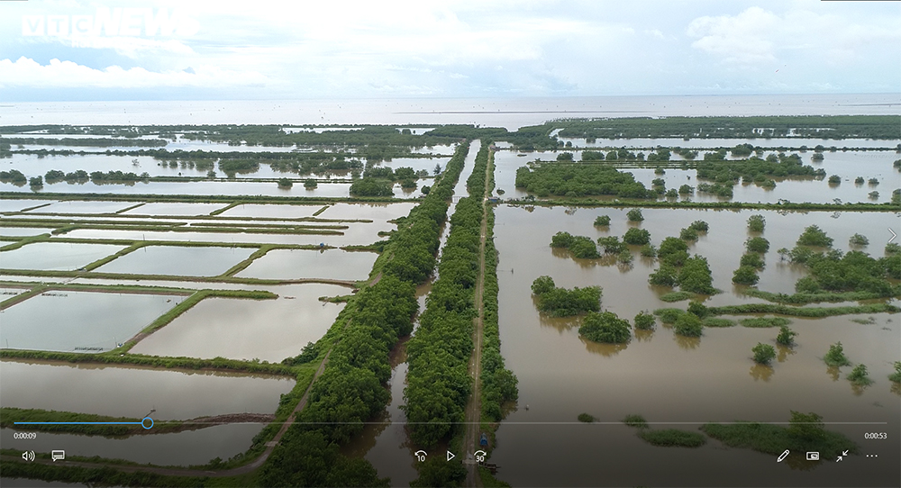 Hải Phòng thu hồi gần 400ha đất bãi bồi ven biển bị 'bỏ quên' cả thập niên