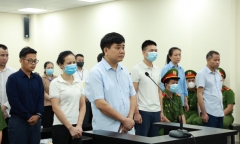 Ông Nguyễn Đức Chung: Nhân viên Công ty Cây xanh thức đêm trồng cây suốt 3 năm