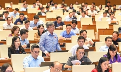'Luật rừng' là có hại, nhưng một 'rừng luật' xung đột thiệt hại còn nhiều hơn