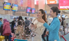 Hàng không nhận chở đào, mai chơi Tết