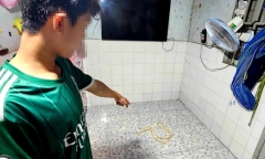 Bắt khẩn cấp người chồng hành hạ vợ dã man