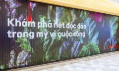 Siêu thị LOTTE Mart West Lake đi vào hoạt động, phục vụ khách hàng