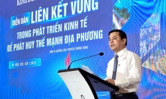 Kinh tế tập thể, Hợp tác xã: 'Muốn đi xa phải đi cùng nhau'