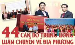 Infographic: 44 cán bộ Trung ương luân chuyển về địa phương giờ ra sao?