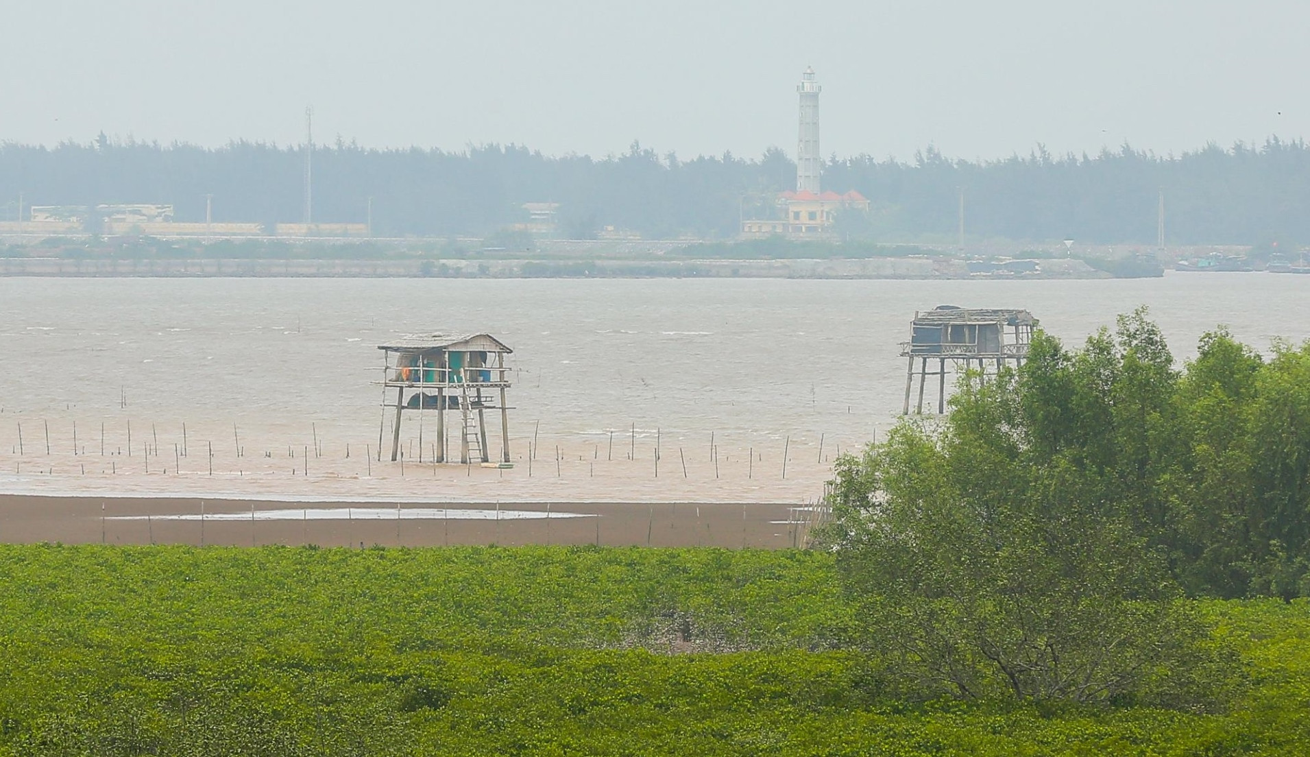 Vụ học sinh tử vong khi bắt ngao: Các tàu kinh doanh tự phát, mạnh ai nấy làm