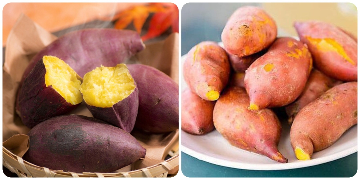 Mỗi Ngày Ăn Một Củ Khoai Lang Có Tốt Không?