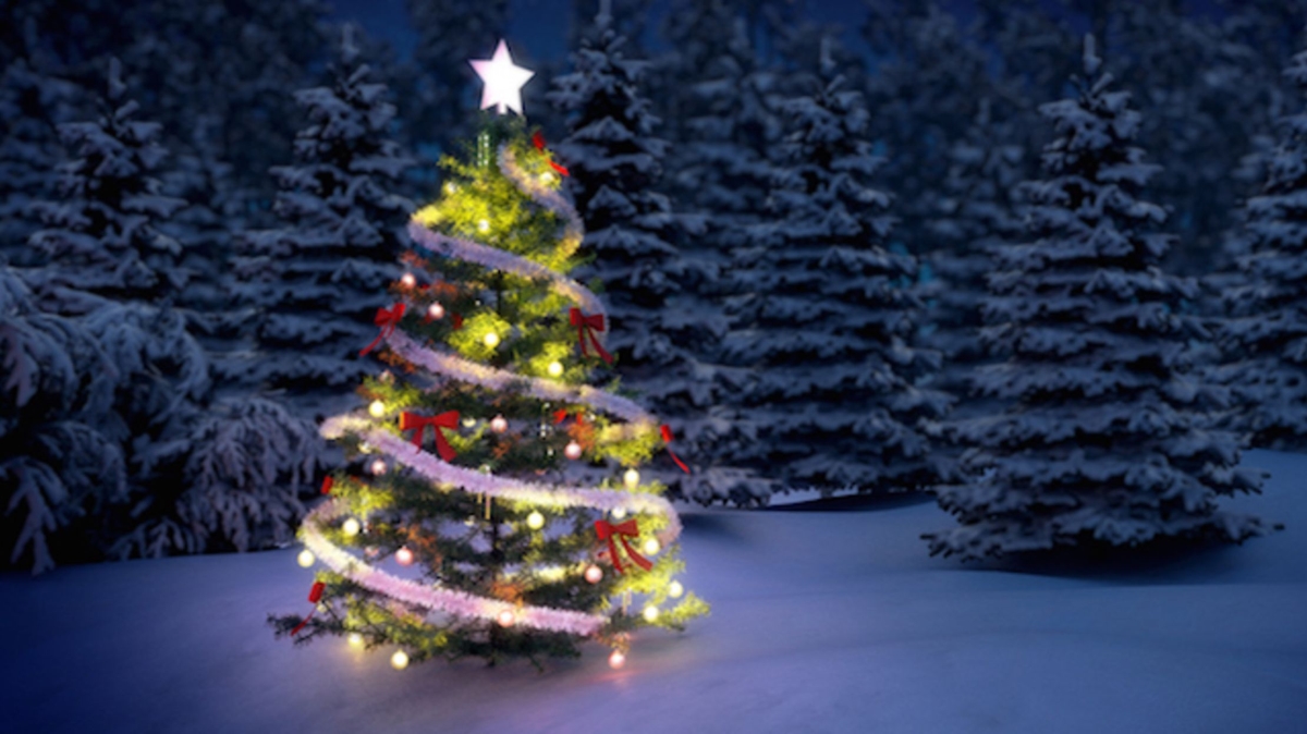 Noel: Tết Noel lại về rồi! Mùa lễ hội của niềm vui, tình yêu và những món quà đầy ý nghĩa. Hãy cùng ngắm nhìn những hình ảnh lấp lánh đầy màu sắc về mùa Noel để cảm nhận tiết trời đêm đầy ấm áp, tình nhân đầy ngọt ngào và niềm vui cùng gia đình.