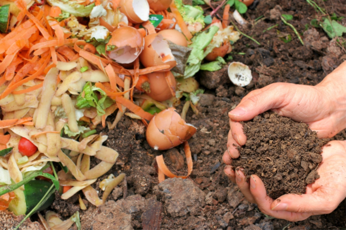Ủ phân Compost và những lợi ích không tưởng