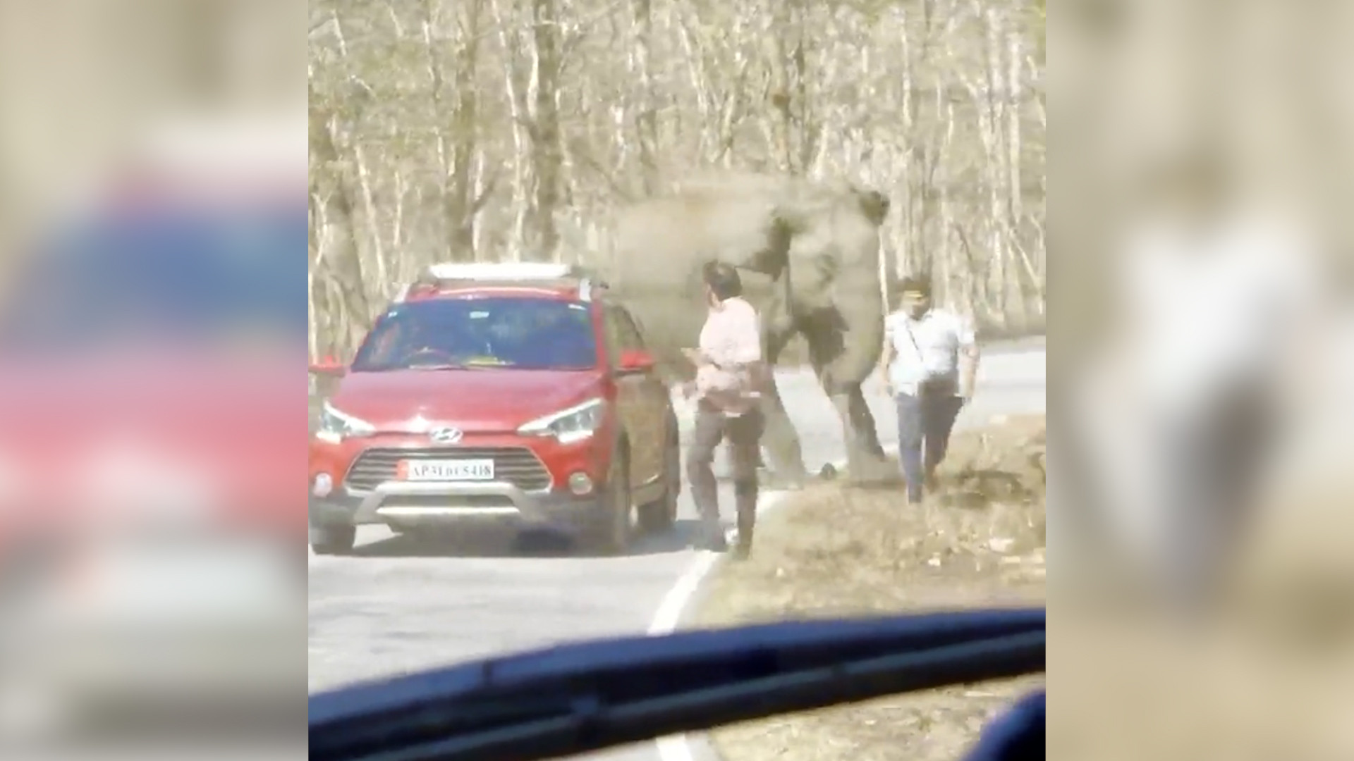 Voi đuổi du khách chạy bán sống bán chết trên đường ở Ấn Độ