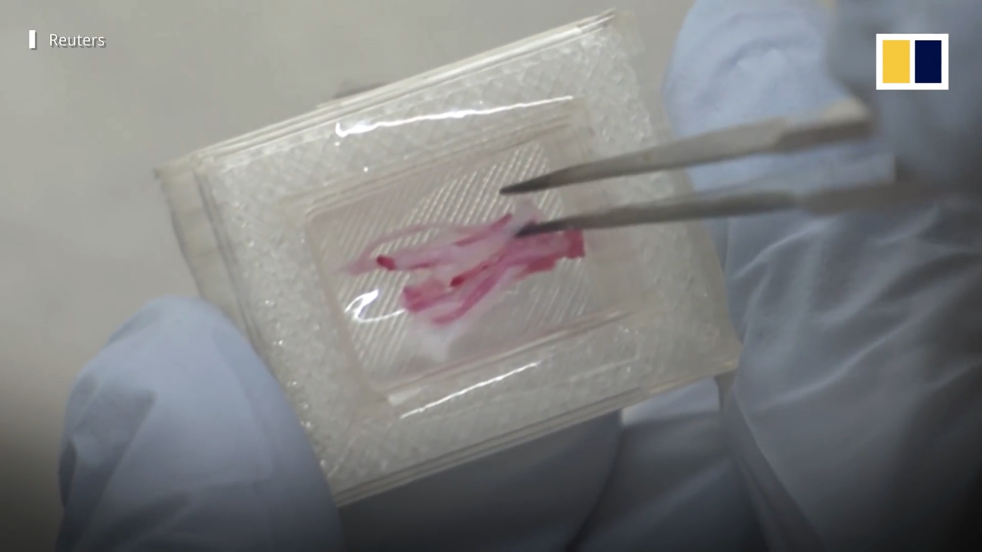 Video: Cận cảnh miếng thịt bò Wagyu đắt nhất thế giới được in bằng công nghệ 3D