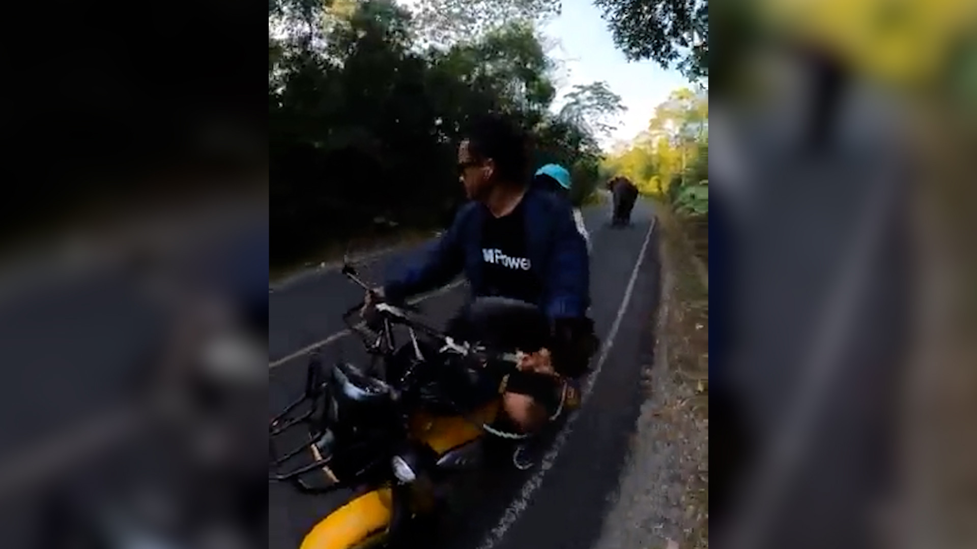 Voi rừng giận dữ truy đuổi cặp đôi đi xe máy